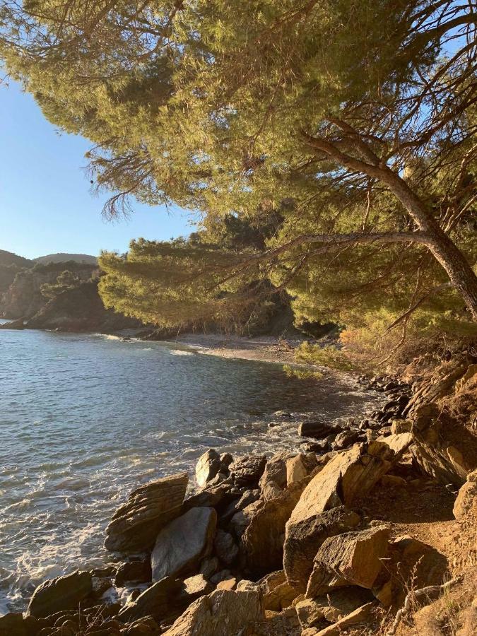 Villa Cavalaire Sur Mer Kültér fotó